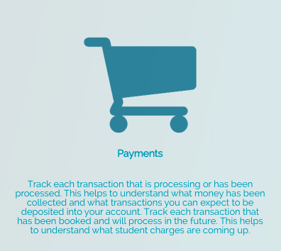 Payment Report